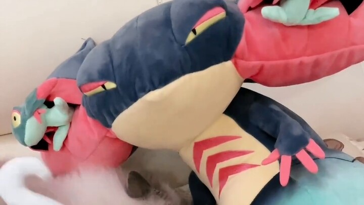 Harganya 80.000 yen?! Doronbalto tomy Pokémon