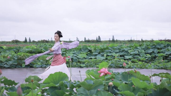 [Yuzi] [Huanxisha·Lotus]—The lotus flowers are in bloom~ Come and enjoy them!