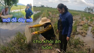 Kiềm Được Mồi Ngon Ra Đồng Làm Vài Ve Tư Cà Khịa Tức Điến Người Khi Bị Sáu Sành Hốt Tay Trên