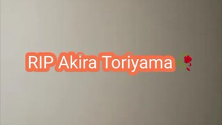 mengenang Akira toriyama