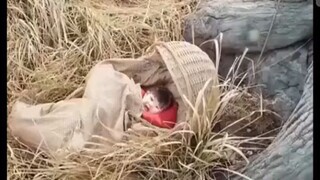 เซียวหว่านหว่าน ดาวนำโชคน้อย (พากย์ไทย)