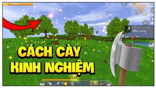 MINI WORLD: CÁCH NHẬN CẢ NGHÌN SAO KINH NGHIỆM TRONG SINH TỒN MỚI