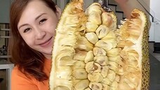 Makan kulit cempedak … tak kusangka ternyata enak …. Coba bisa dimasak apa lagi sih yang enak …