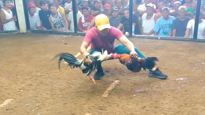 napalaban sa quality dehado pa sa pusta 6/10