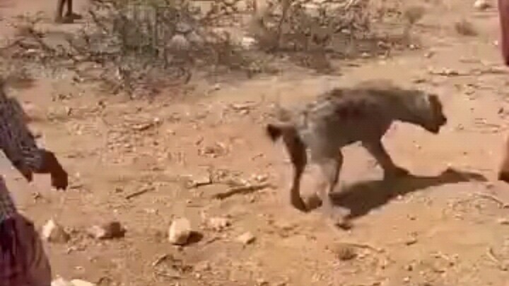 Chief of the Proctology Department Faces Medical Disturbance