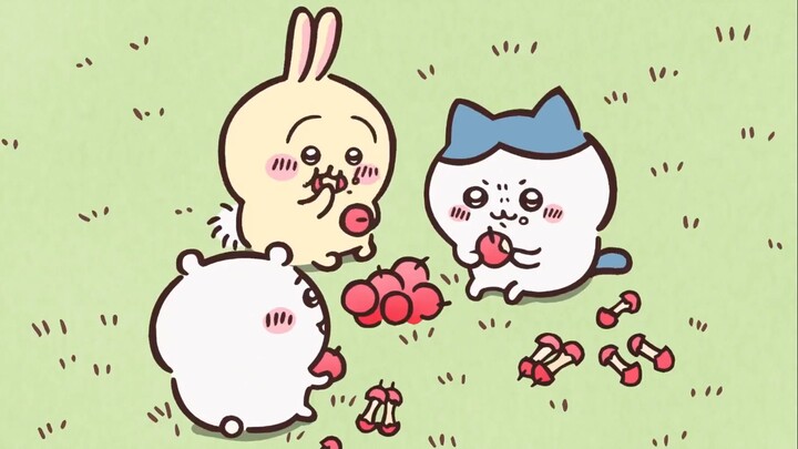 [chiikawa] Phiên bản mukbang thuần túy dành cho bé! Ôi Yisi!