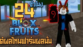 24ชั่วโมง ในBlox Fruits สุ่มได้ผลไหนเอาผลนั้นฟาร์ม!!!