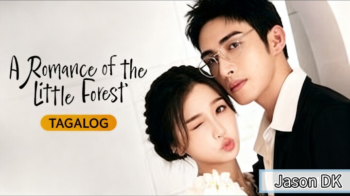 A Romance Of The Little Forest Episode 13 Tagalog Dub [1080P HD]