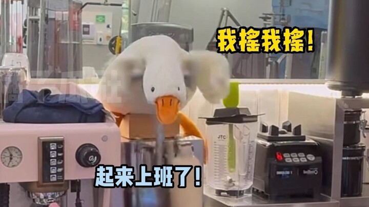 Duck: Nasibku benar-benar sial!