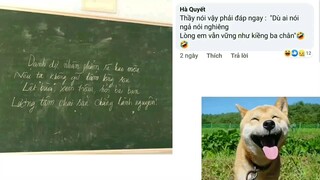 ảo vậy ta #haihuoc