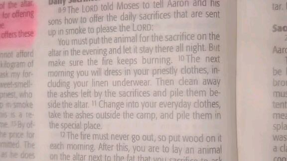 Daily Verse.   Leviticus 6:8-13