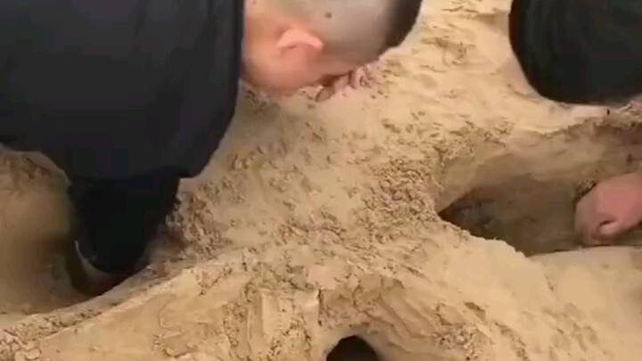 Chó: Mọi người đều đang đào hố, nếu mình không đào thì có vẻ như không hòa nhập được với đám đông.