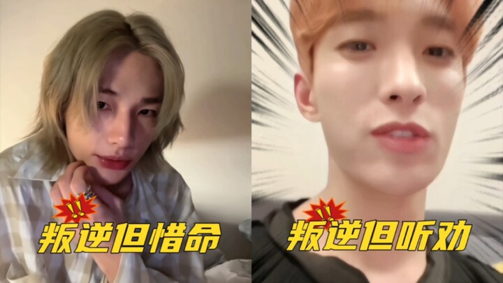 Hilarious! The rebellious idol sat up straight the moment they heard their fans—truly a “listen-to-f