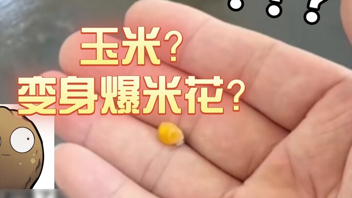 jagung? Berubah menjadi popcorn?