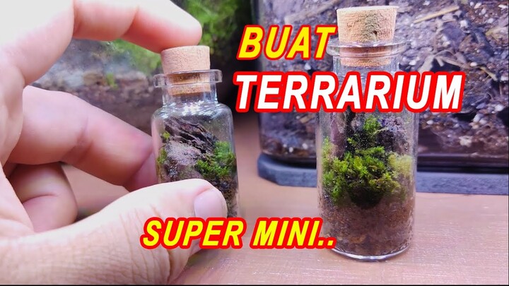 Membuat Terrarium Super Mini