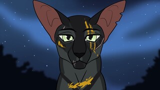Warrior Cats OC PMV - New Year's Eve