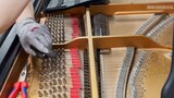 What if the 1 million Steinway breaks?
