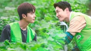 Love Tractor|Episode 5 English Sub|Best Korean BL
