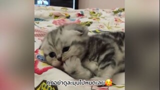 อยากเอามานอนกอดทั้งคืน