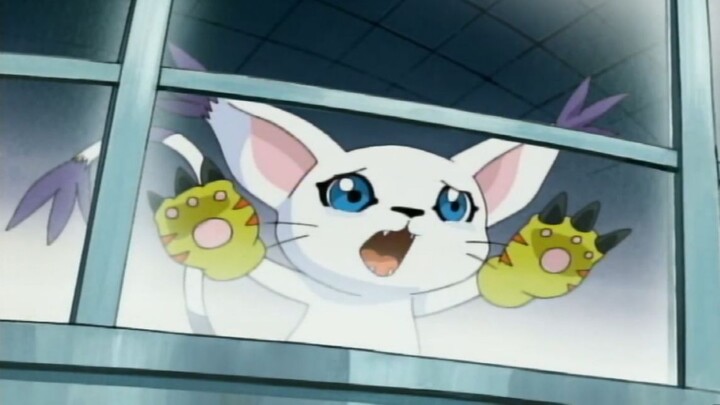 "Digimon 29" Come out, I'm here, I can't walk with you anymore