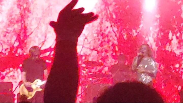 The Gathering Leaves (Short) Show Sao Paulo