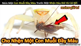 Những Hiện Tượng Khó Lý Giải Cực Kỳ Đáng Sợ Của Các Loài Động Vật || Review Giải Trí Đời Sống