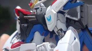 Gaogaohg Ascension to Freedom Final Edition (ปีกเสริม)