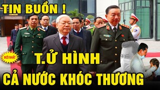 🔥Tin Nóng Thời Sự Mới Nhất Ngày 20/11/2021/Tin Nóng Trị Việt Nam và Thế Giới