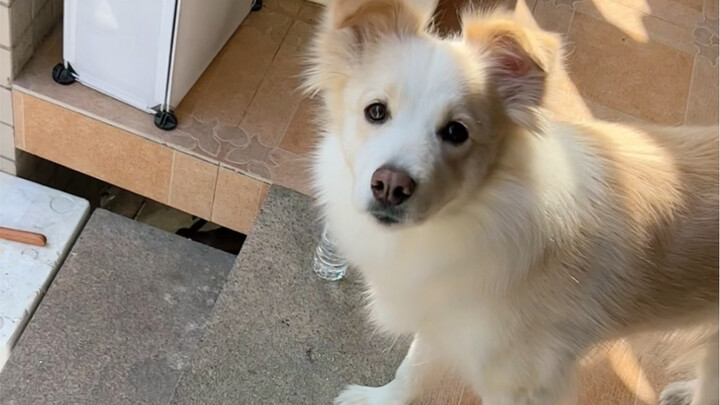 Silence is better than words at this time