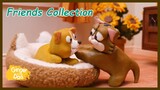 Ginger And Friends - Collection - Cute and Funny Baby Cat Videos Compilation #Gingercat3s