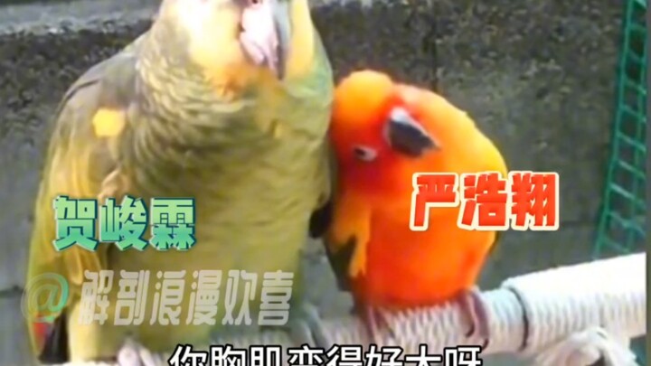 Xiao Yan: Clingy like a little bird