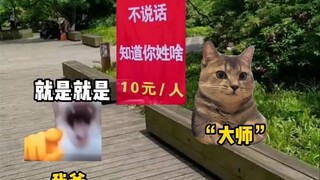 تعرفون اسم عائلته دون أن ينطق بكلمة واحدة؟ #طفل غبي #ميمات القطط #مسرحية مصغرة لميمات القطط #مضحكة