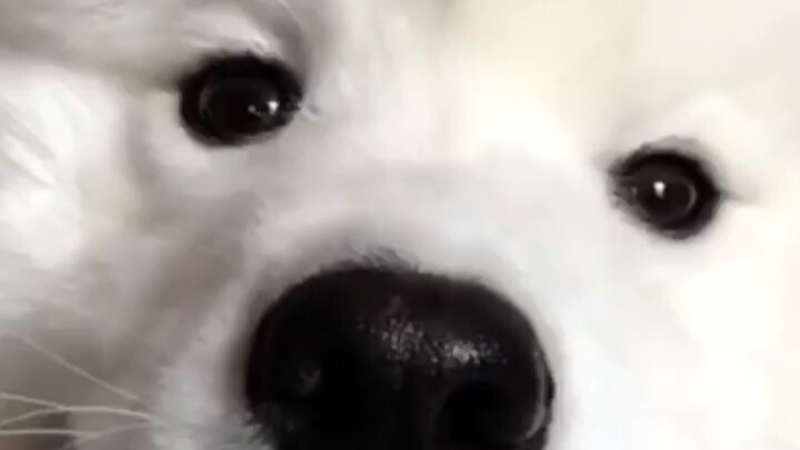 When you video chat with your girlfriend