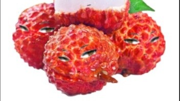 [Biểu đồ hàng tháng] Hãy đến và bị tổn thương!