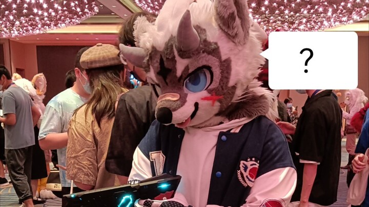 At the animal gathering, I finally did something I’d been thinking about for almost a year.