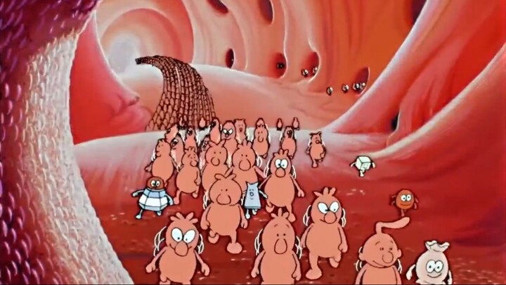 05. Irrigación Sanguínea (Erase Una Vez... La Vida)