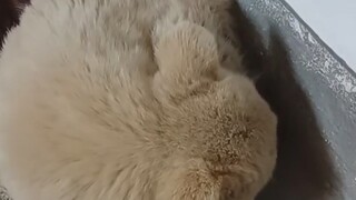 That transition totally startled me!