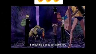 Luffy has a new pet