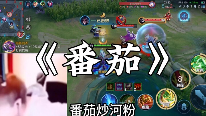 Tomato Stir-Fry with Everything