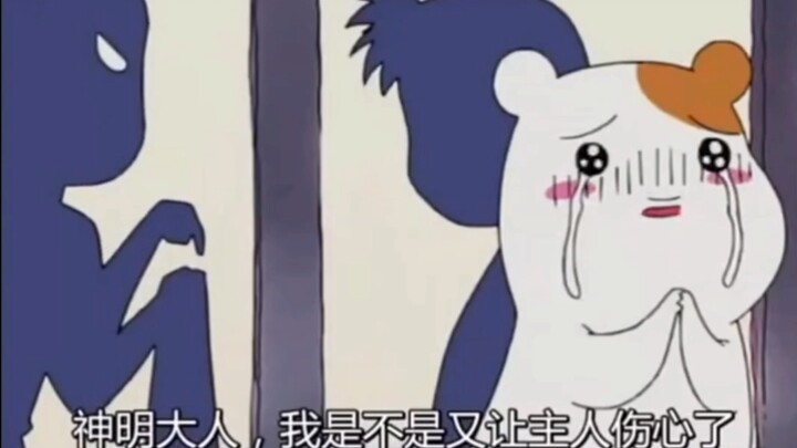 论一只老鼠有多欠揍…（7）
