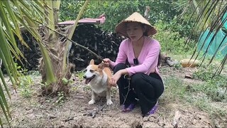 Lấy CƠM MẺ làm mồi câu Cá mà ít ai biết| ÁNH KUA