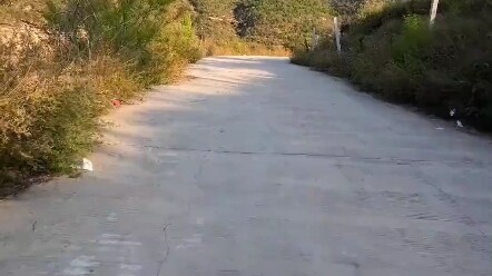 Grand Theft Auto