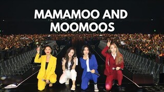 MAMAMOOS Love for us Moomoos