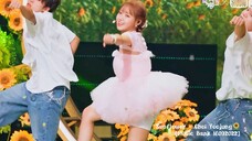 Kẹo bông di động nhảy múa 🥰💕 Sunflower - Choi Yoojung 🌻