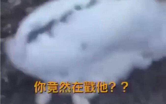 生 死 之 交