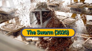 Alur Film The swarm (2020) Belalang Penghisap D4R4H