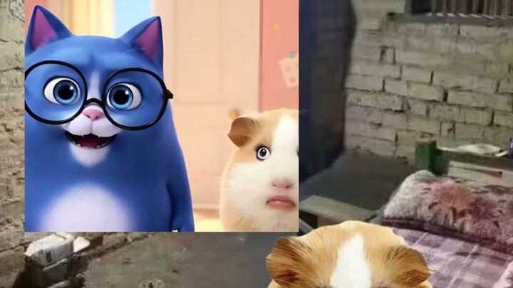 Episode 3 Makan Bareng Si Babi Perempuan (Kumpulan)