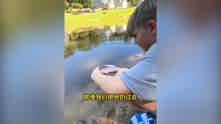 Anak lelaki itu "pamer" bahwa ia mempunyai seekor katak yang dapat mengenali pemiliknya dan dapat be