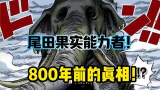 尾田公布！800年前的真相！