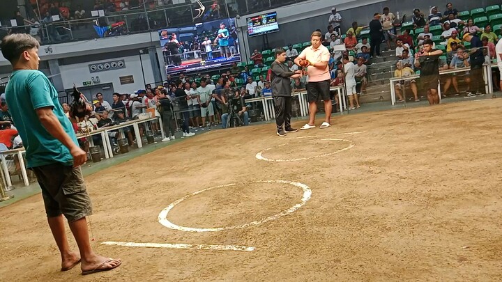 manila arena 2hits 1st fight win